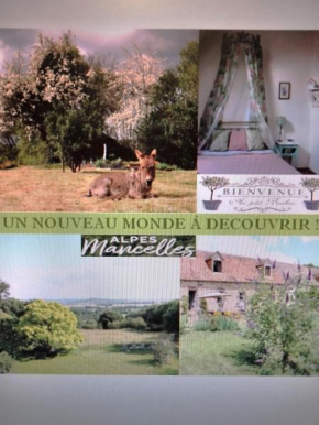 Le Clos Fleuri